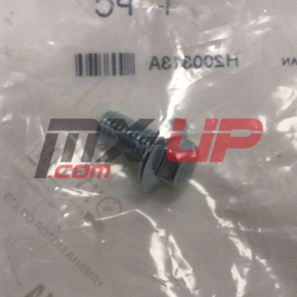 BULLONE FLANGIATO YAMAHA WR250 YZ250 YZ125 YZ450 YZ85LW 9010506064